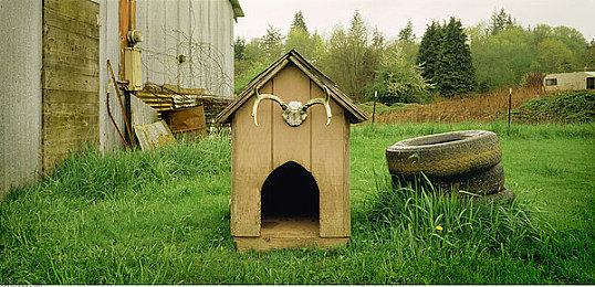 《王国之心》系列以云形式登陆Switch